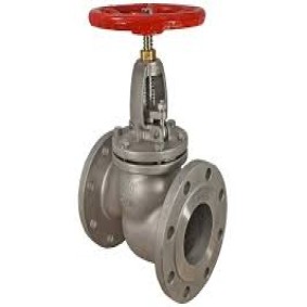 STANILESS STEEL GLOBE VALVE